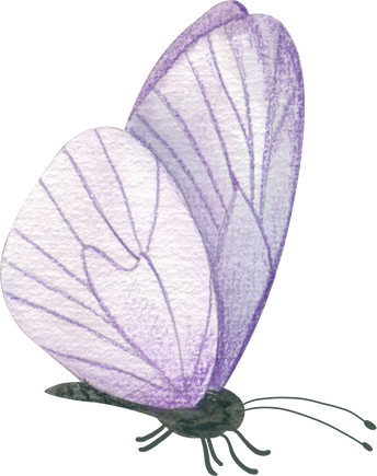 Handdrawn of Watercolor Tiny Butterfly