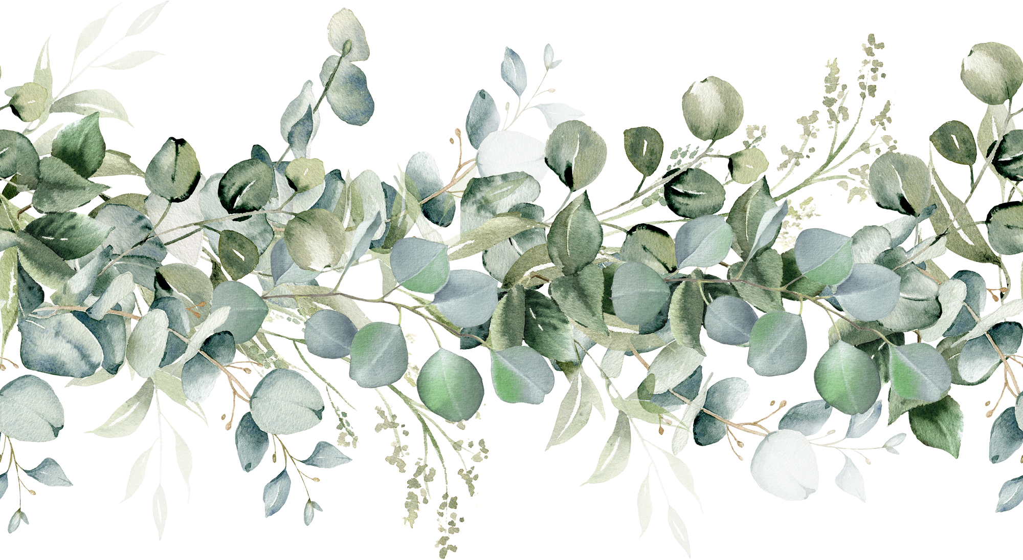 Eucalyptus seamless border. Watercolor greenery