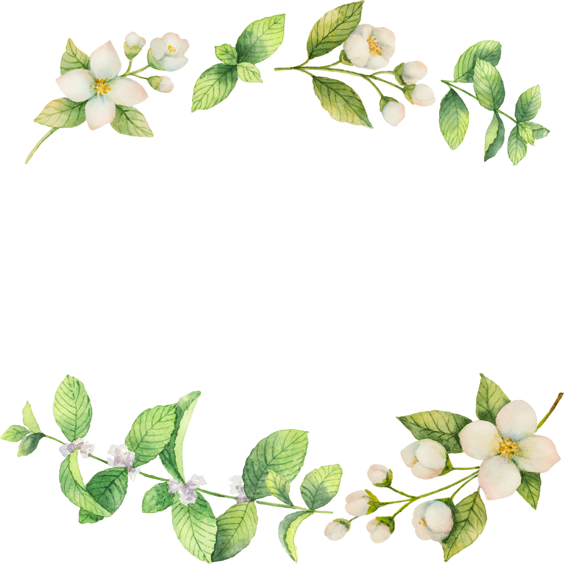 Watercolor wreath with white flowers and green leaves. 