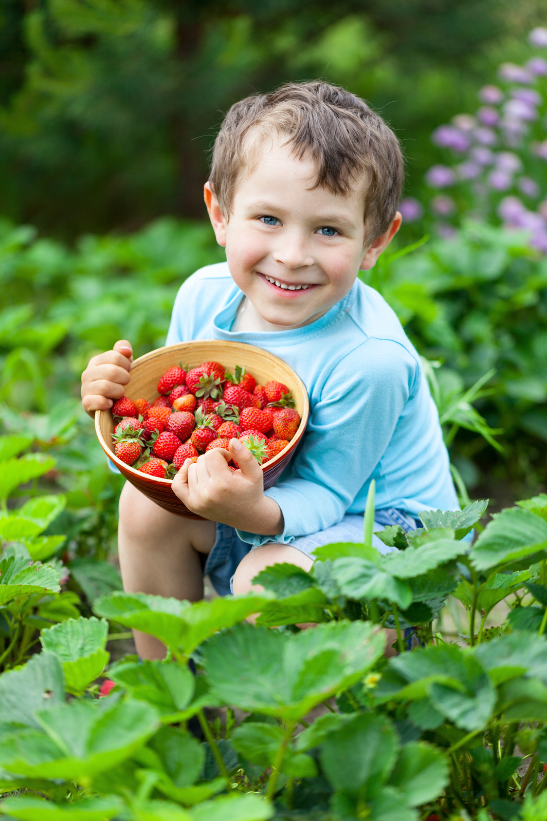 5 years old boy with fresh strawberries